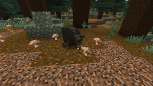 Wild Boar Sniffing