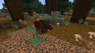 Brown Wild Boar