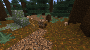 Baby Wild Boar