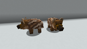 Baby Wild Boar