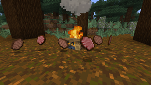 Wild Boar Meat