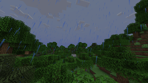 Rain