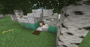 Bunker in Birch forest
