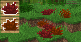 5.png