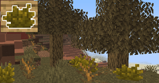 6.png