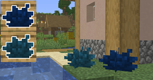 7.png