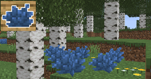 8.png
