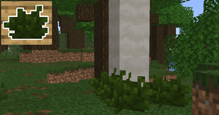 10.png