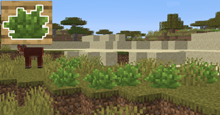 11.png