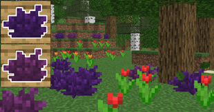 12.png
