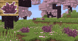 13.png