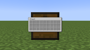 Chest