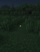 Inventory animation