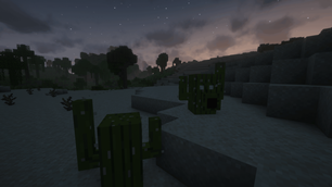 Angry Cactus Group