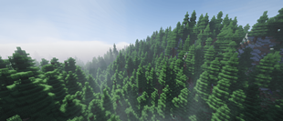 Photo of a Taiga with the new biome generation