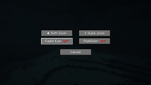 Zoom settings