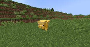 sneekpeak_1.png