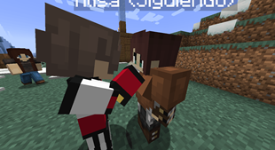 image 1.png