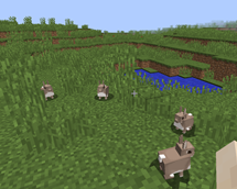 image-attachment_dc409a79-537b-4ba6-94bb-766192acfe30.png