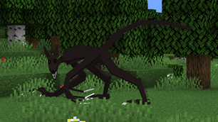 The Wolf Man Spotted