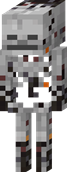Skeleton Nether