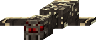 Spider Desert