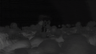 AAB2.gif