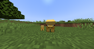 sneekpeak_2.png