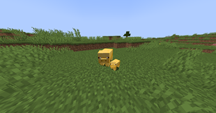 sneekpeak_3.png