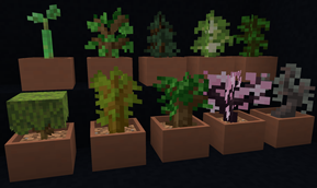 Sapling Botany Pots