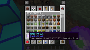 Teleport Eye in Action