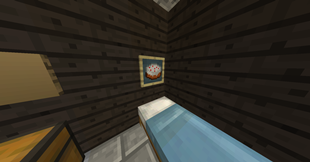 Item Frames