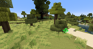 Grass and Trees