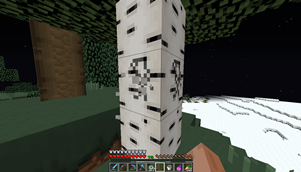 Punching Wood