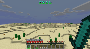 The ingame Hud