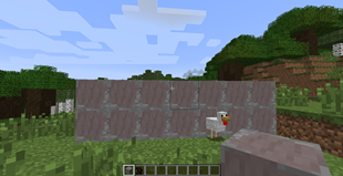 Picture 1