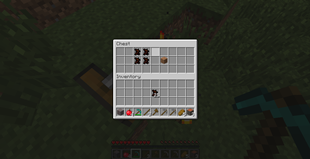 Picture 3