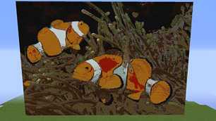 Clown Fishes