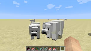 Polar Bears