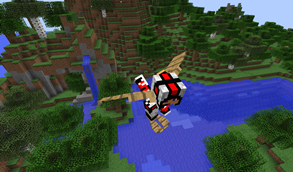 Oak Wood Elytra