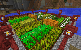 Farm Plot