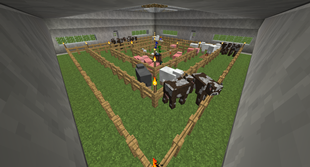 Animal Stable