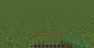 Cannot Rotate.png