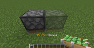 Piston View.png