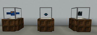 Display Cages