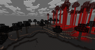 Black Biome (Black)