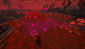 image-attachment_aa7ec20a-dcb1-488c-b93f-4f386e6f40c5.png