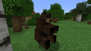 Bear eating