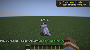 Companion Level Display