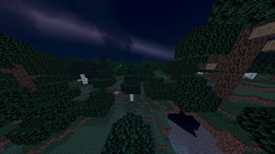 Overworld — Dark Forest